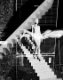 Onorato-Krebs_Nude-descending-stairs_2012.jpg